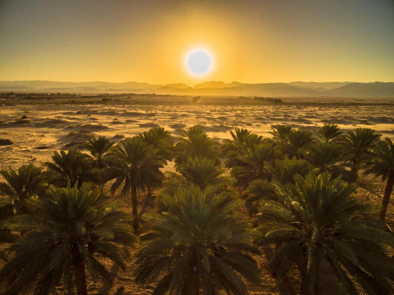 Lotan Desert Travel Hotel Nahal Ya'alon Exteriör bild
