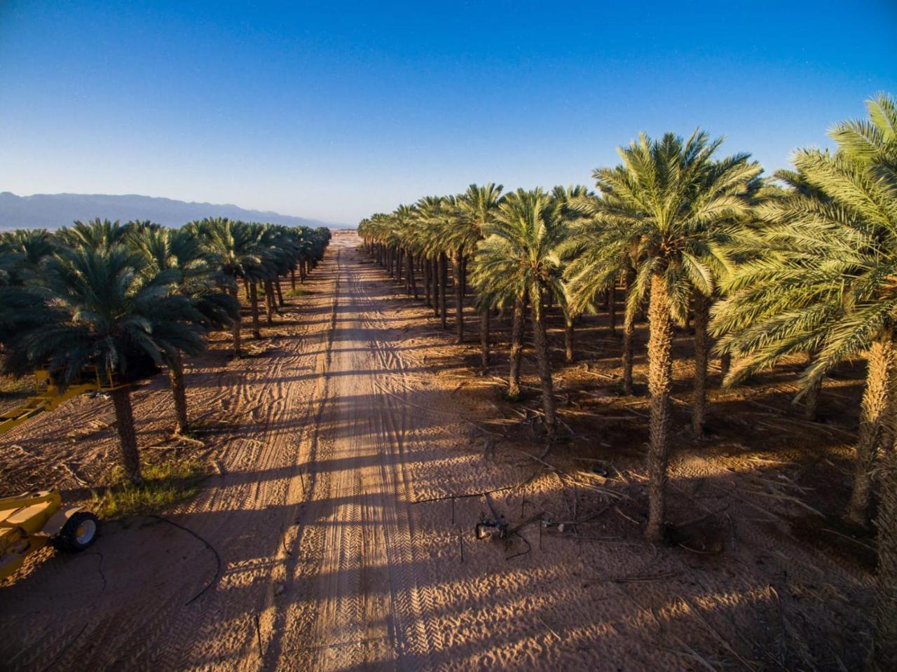 Lotan Desert Travel Hotel Nahal Ya'alon Exteriör bild